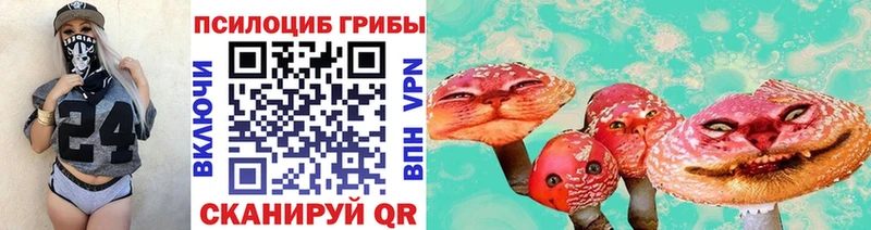 Псилоцибиновые грибы прущие грибы  Купить  Фокино 