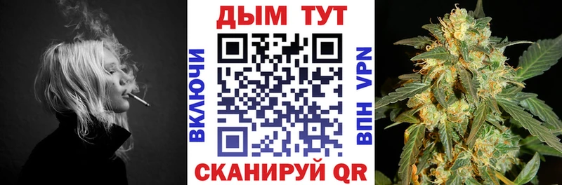 Шишки марихуана марихуана  Купить закладки  Фокино 